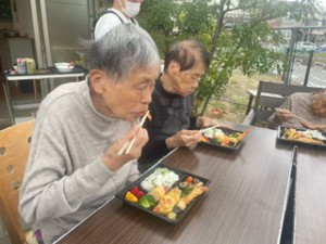image11