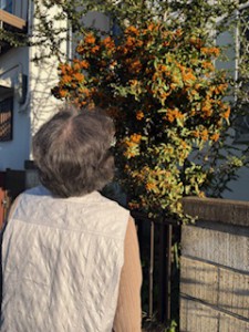 image10