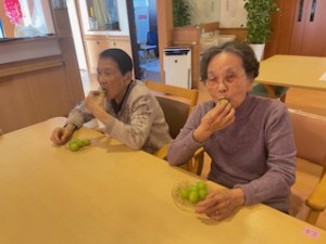 image5