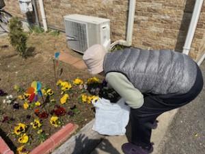 image5