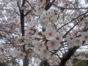 image0