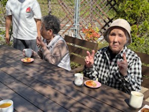 image12