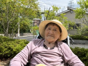 image12