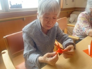 image11
