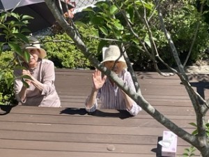 image5